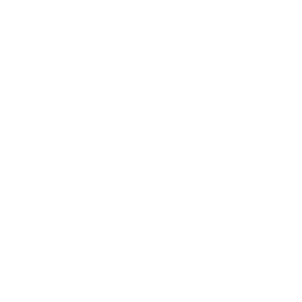 BrixLife Vitamins 